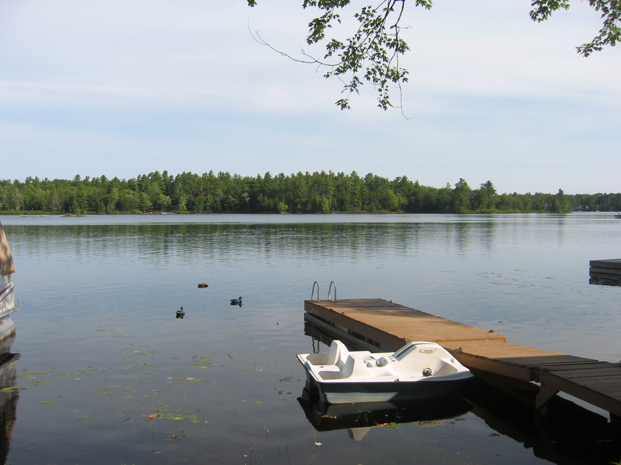 Morrison Lake Muskoka Real Estate Services